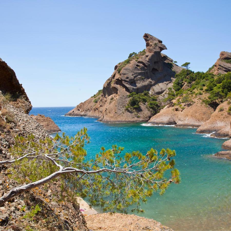 Eden Place Un Petit Coin De Paradis By Laconciergerie13 La Ciotat