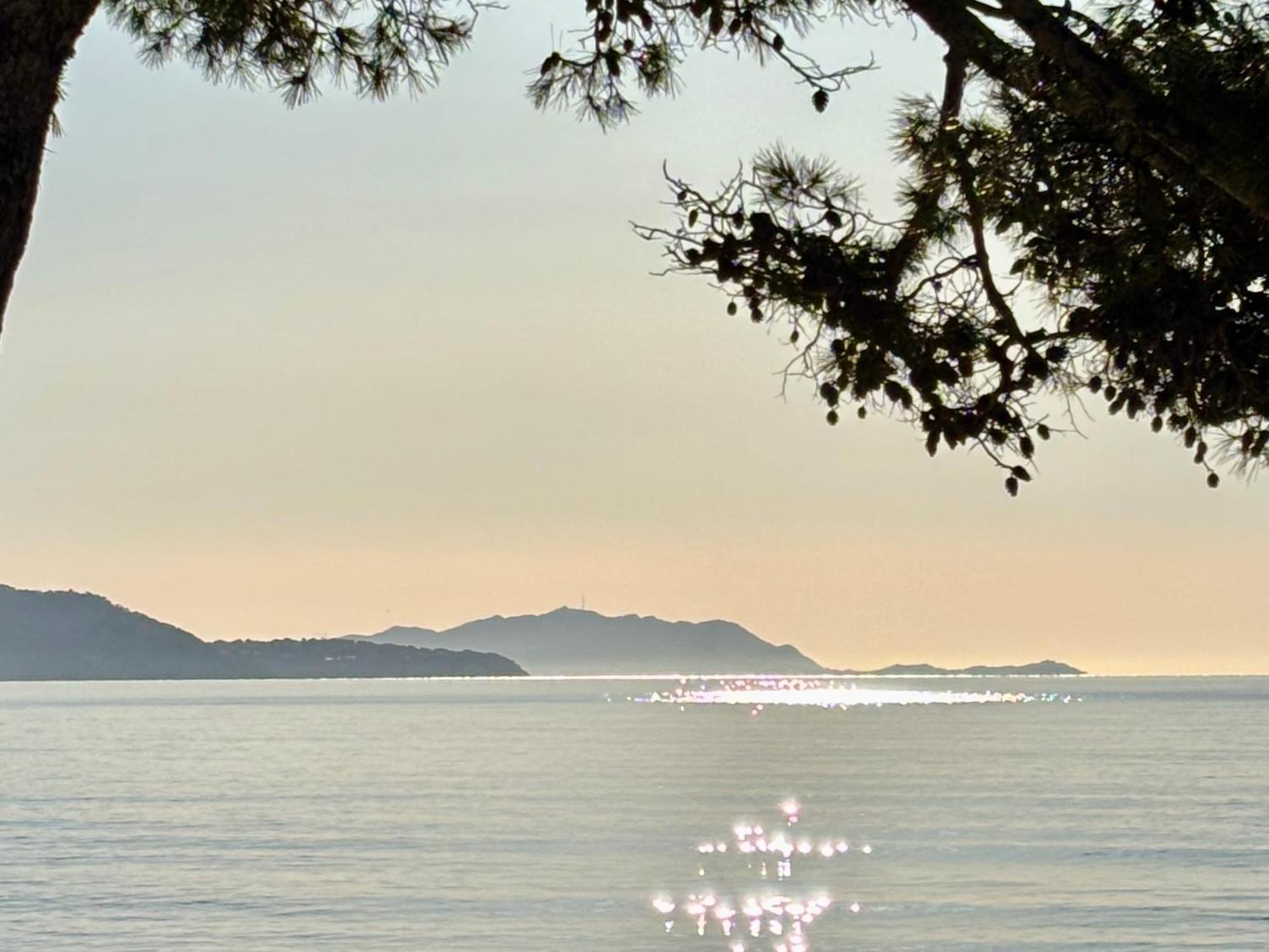 Eden Place Un Petit Coin De Paradis By Laconciergerie13 Apartment La Ciotat