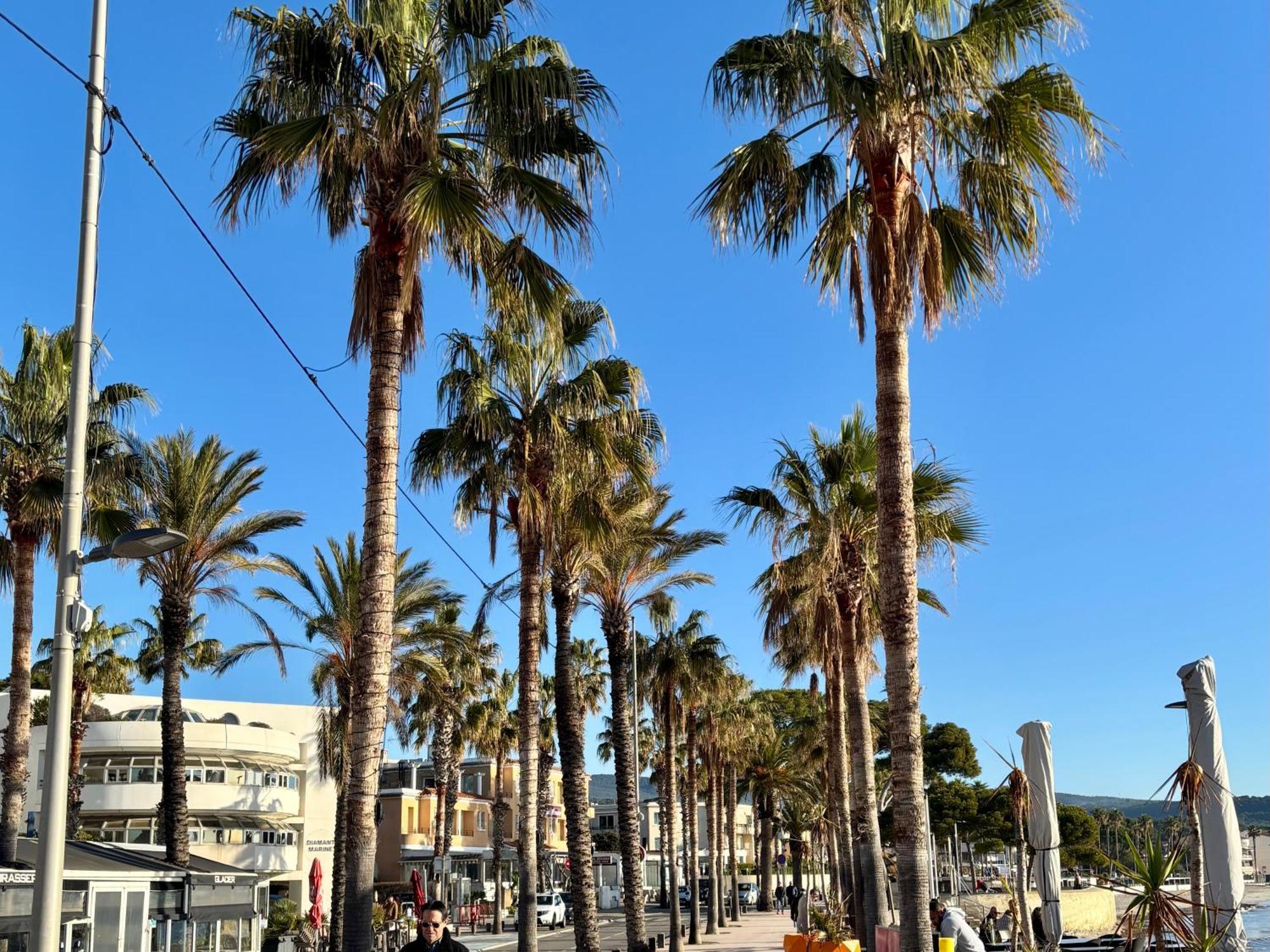 Eden Place Un Petit Coin De Paradis By Laconciergerie13 La Ciotat